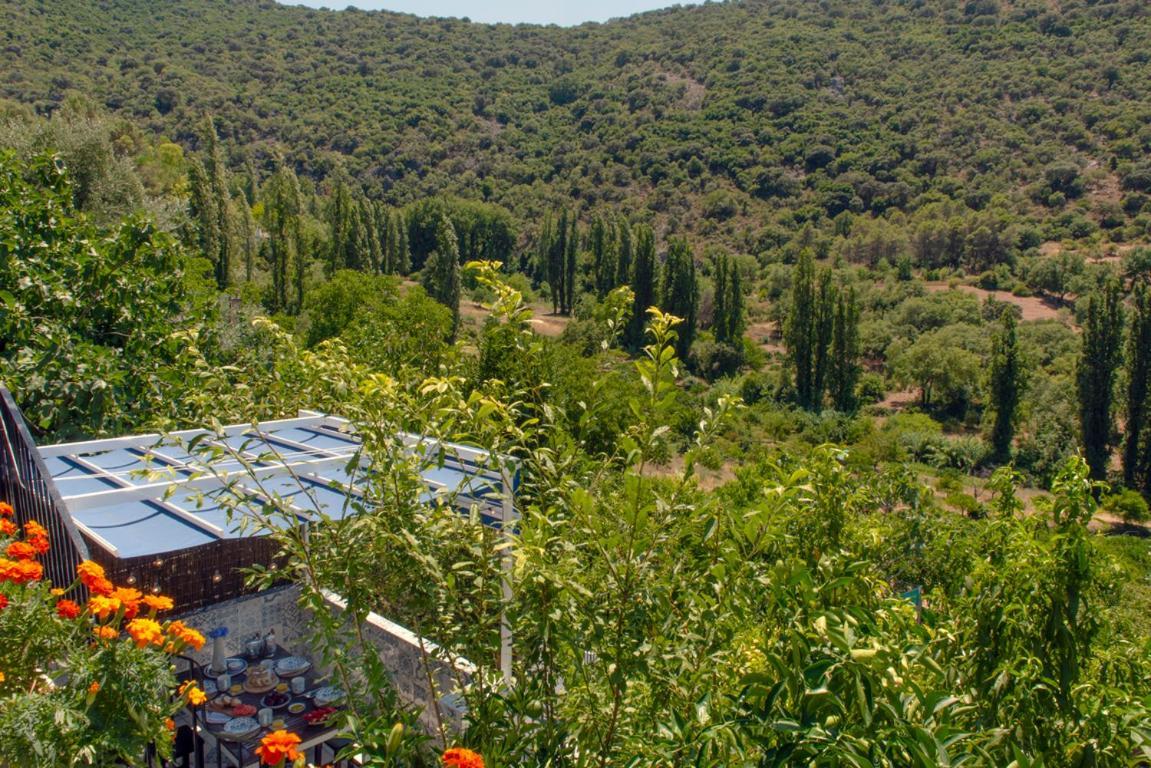 Stunning Home Benamahoma 4 Bed - Sierra Grazalema Bagian luar foto